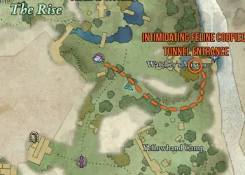 Guide to Locating the Avowed Intimidating Feline Codpiece Treasure