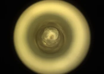 NASA's Mars Rover Collects Unique Rock Sample