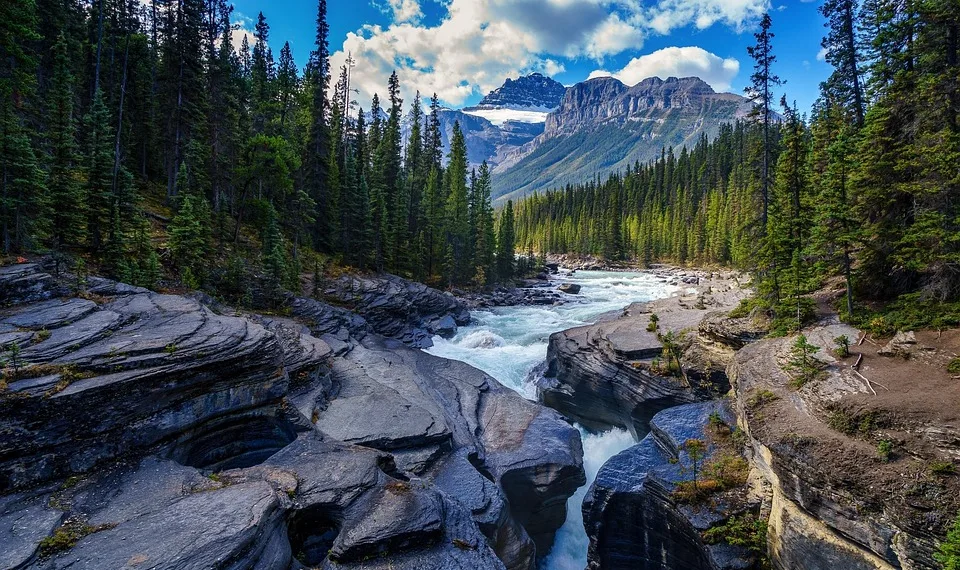 Oscar Winner Gene Hackman, Wife Betsy Arakawa, Dog Found Dead