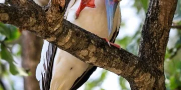 Selena Gomez Buys New Home for Rs 300 Crore: What's Her Net Worth?