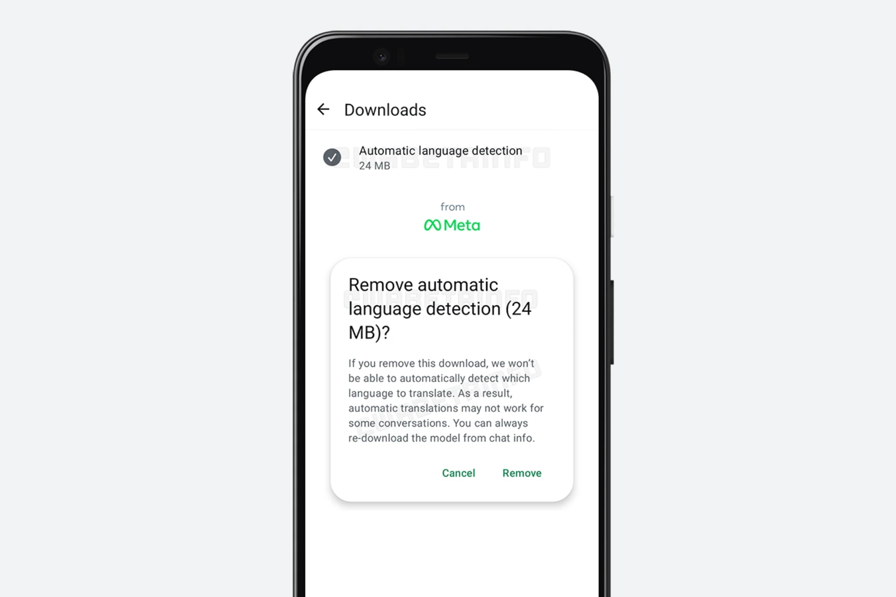 Downloading language translation package in WhatsApp.
