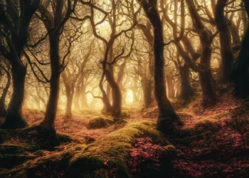 ai generated 7500021 960 720.jpg