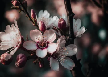 ai generated 7718952 960 720.jpg