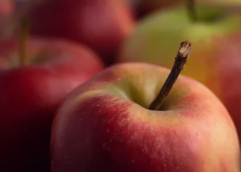 apple 5183288 960 720.jpg