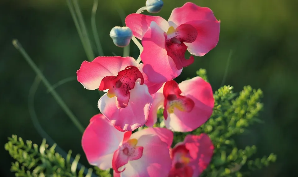 artificial flowers 4387478 960 720.jpg