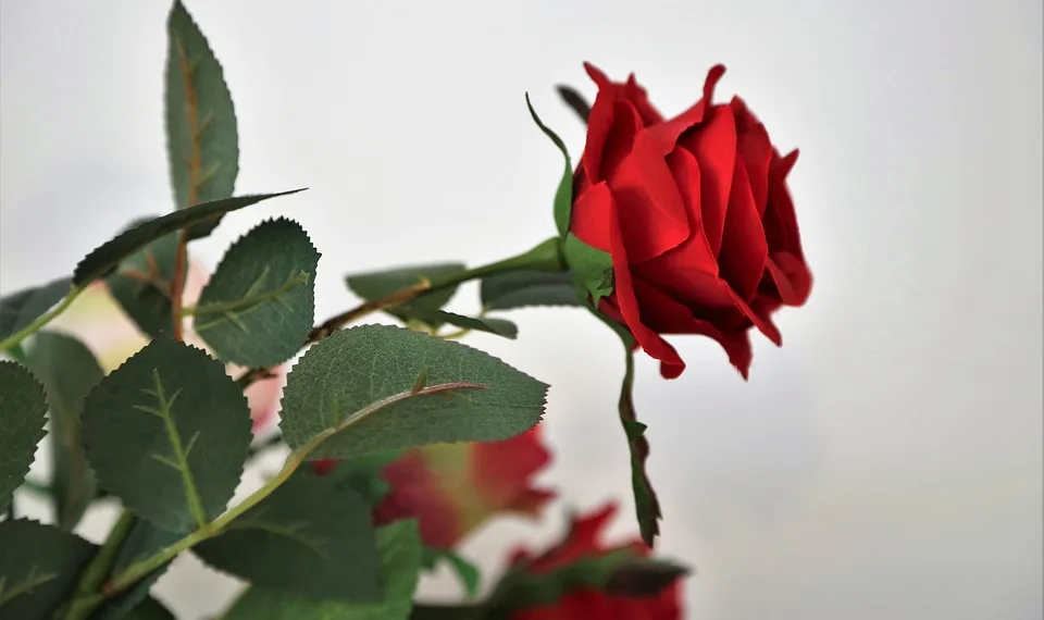 artificial red rose 4889551 960 720.jpg