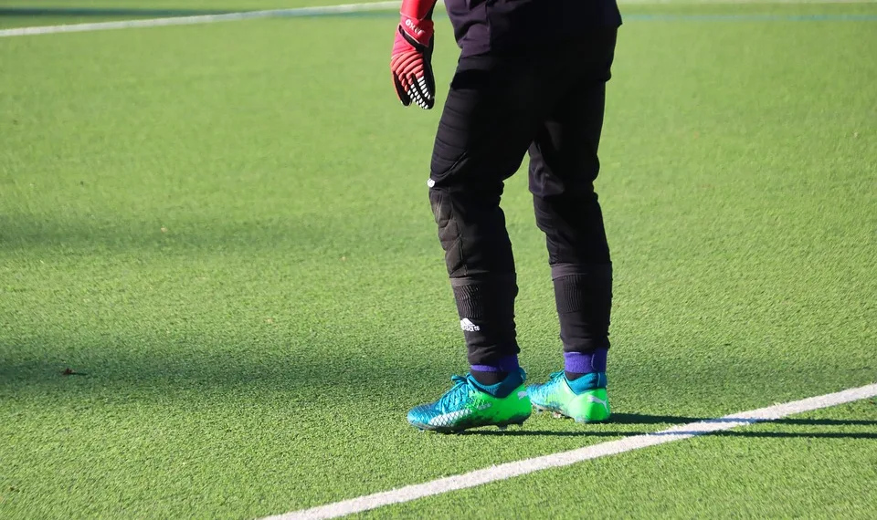 artificial turf 7011714 960 720.jpg