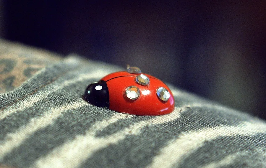 beetle 2368329 960 720.jpg