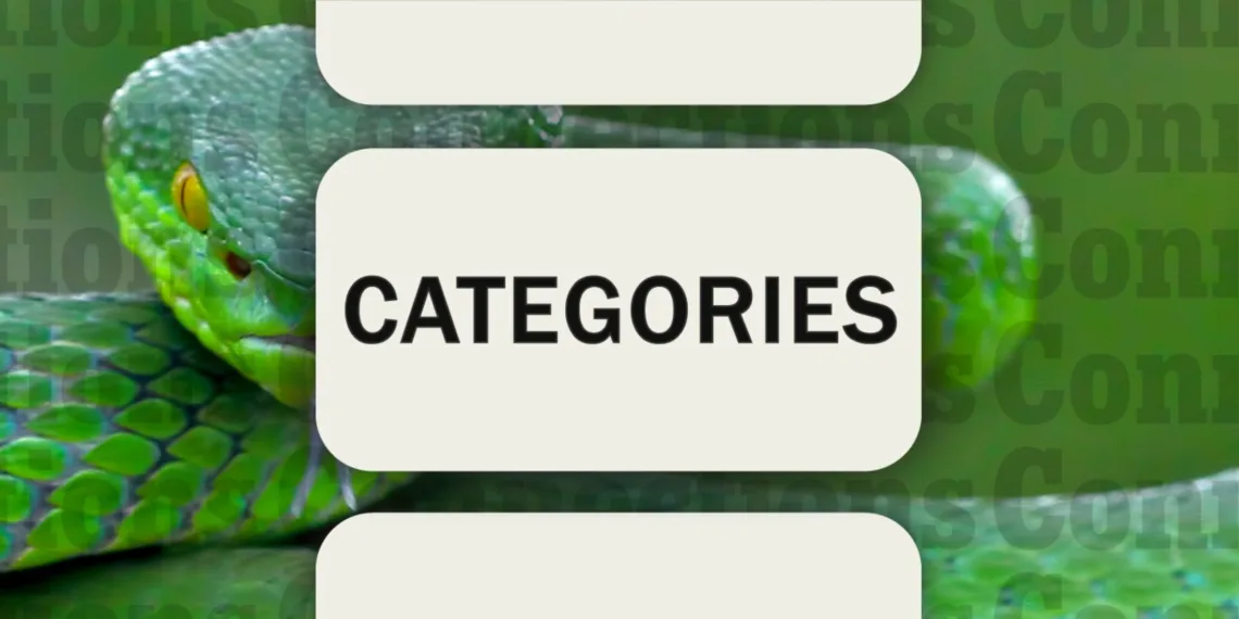 February 12, 2025: Today's Connections Clues & Solutions (Puzzle #612)