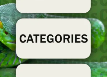 February 12, 2025: Today's Connections Clues & Solutions (Puzzle #612)