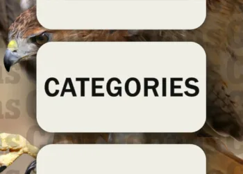 February 2, 2025 Connections Puzzle #602: Tips & Solutions