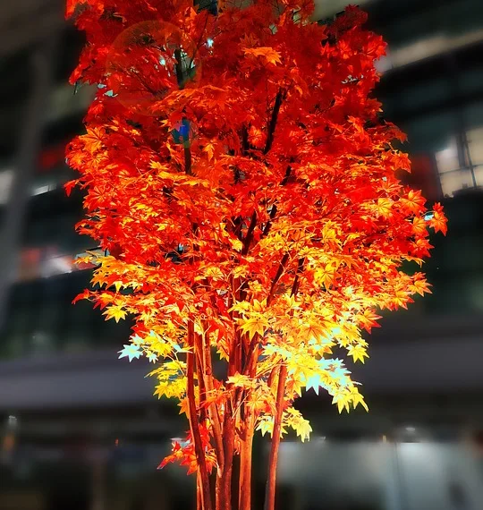 corporate building 4779595 960 720.jpg