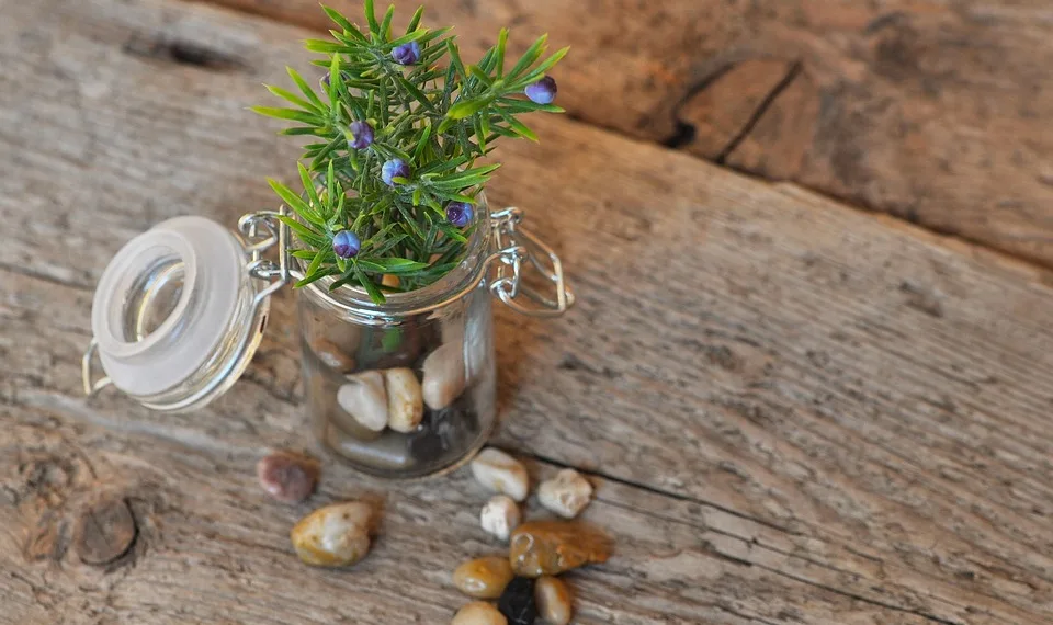 decoration 676404 960 720.jpg