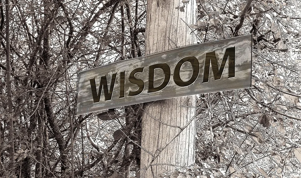 directory 229117 960 720.jpg