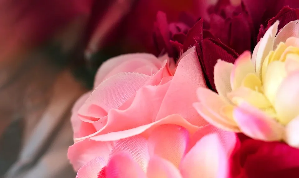 flowers 4986806 960 720.jpg