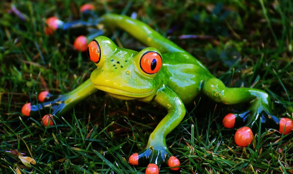 frog 1109768 960 720.jpg