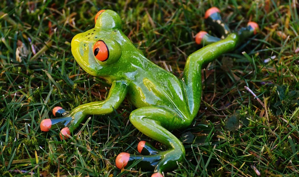 frog 1109770 960 720.jpg