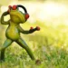 frog 1109820 960 720.jpg