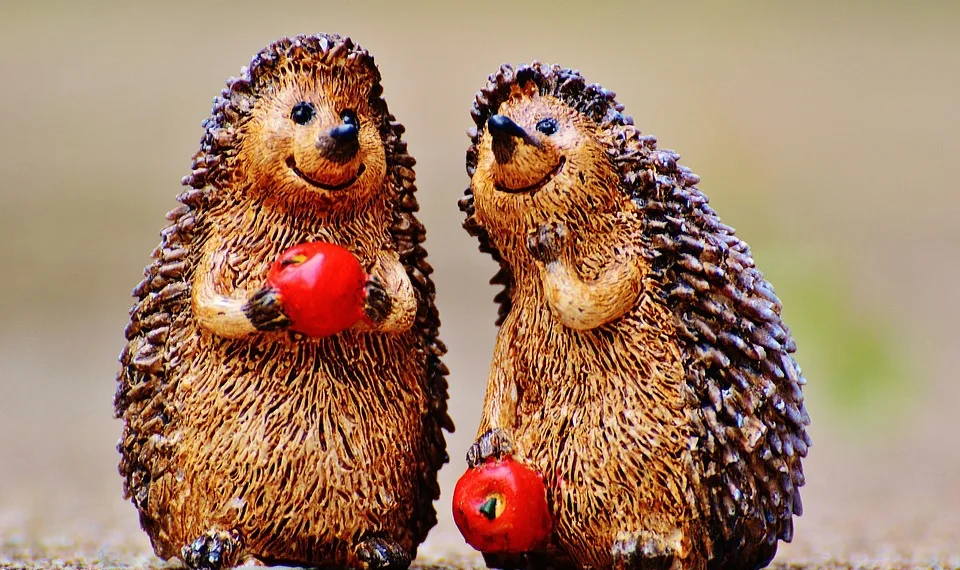 hedgehog 982699 960 720.jpg