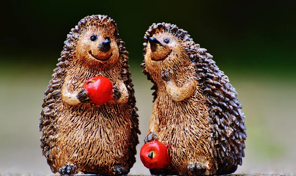 hedgehog 982702 960 720.jpg