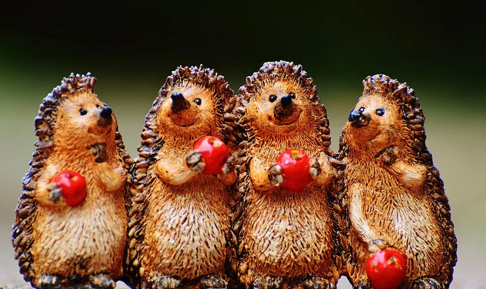 hedgehog 982705 960 720.jpg