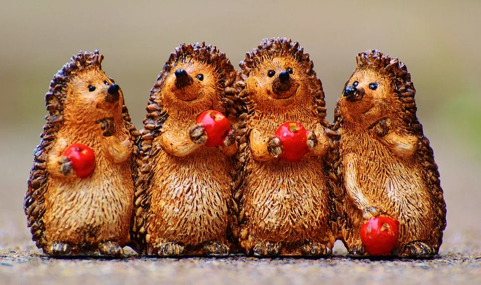 hedgehog 982706 960 720.jpg