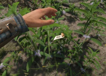 Tips for Locating or Buying Mint in Kingdom Come: Deliverance 2