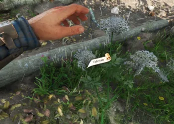 Finding or Purchasing Valerian in Kingdom Come: Deliverance 2