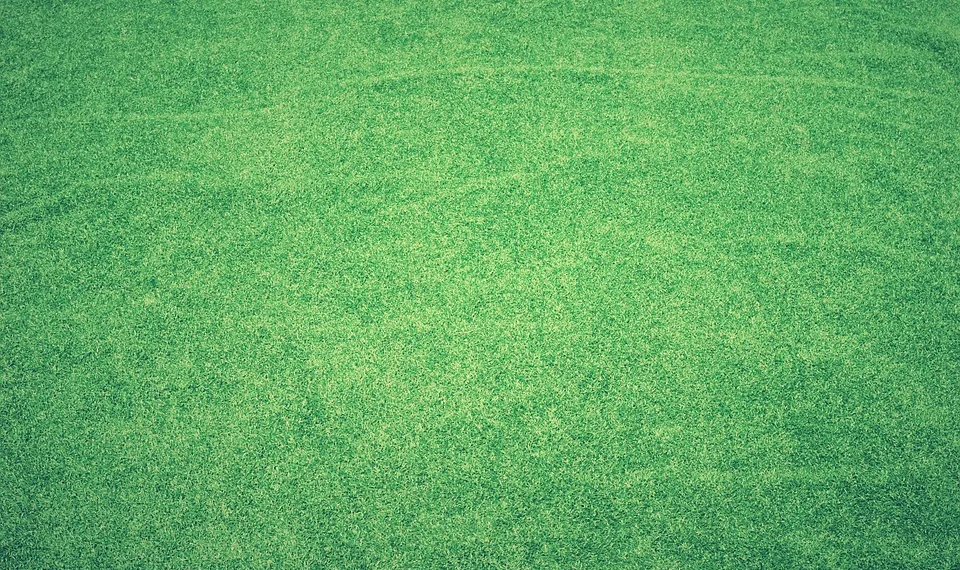 lawn 1846813 960 720.jpg