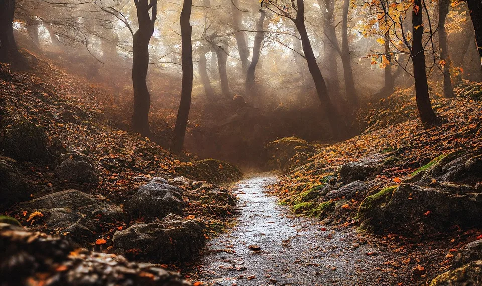 path 7611668 960 720.jpg