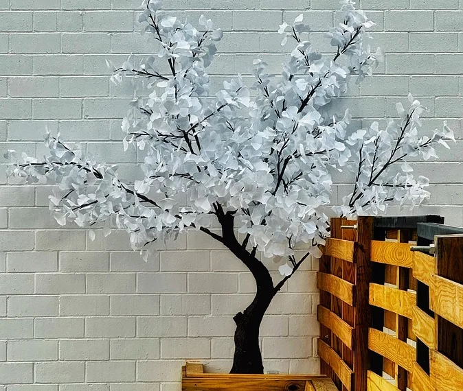 plum 8846836 960 720.jpg