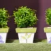 pots 2610151 960 720.jpg