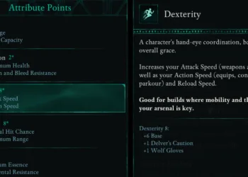 Ultimate Fighter/Ranger Multiclass Guide: Skills, Stats, & Gear
