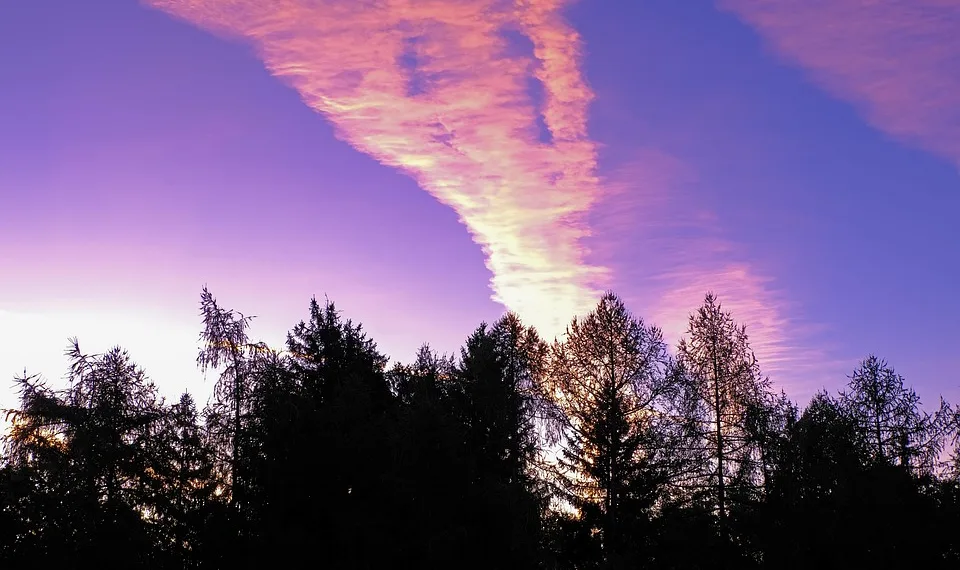 sunrise 4488582 960 720.jpg