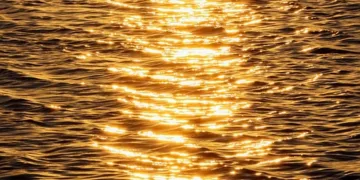 sunset 8424565 960 720.jpg