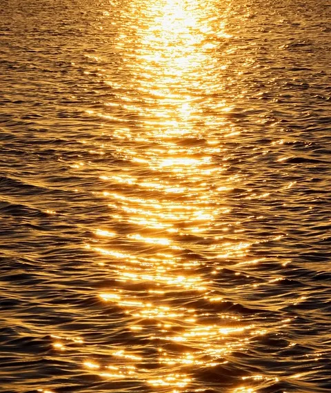 sunset 8424565 960 720.jpg