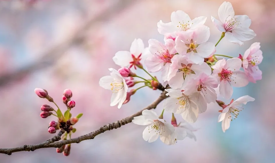 How to Perform Offset Attacks in Monster Hunter Wilds