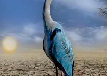 Roku Voice Remote Pro, with D-pad, replay, voice control, star button, playback controls, guide button, shortcut button, and app shortcuts