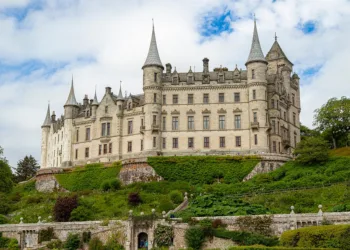 How to Create and Run a Small Business in The Sims 4: A Guide to Businesses and Hobbies