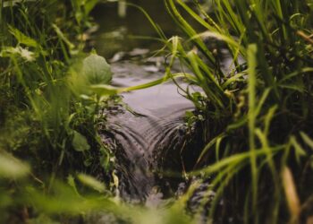 Friday Night Baseball