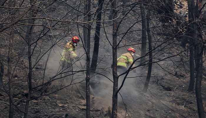 Firefighters extinguish embers near the Gounsa temple after a wildfire ravaged Uiseong, South Korea, March 27, 2025. — Reuters
