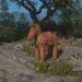Complete Guide to Kofun Sites and Their Rewards