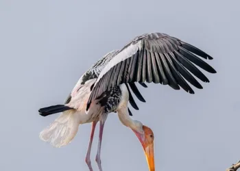 Gal Gadot: Social Media Has Made the World ‘Very Confusing’