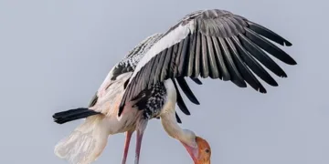 Gal Gadot: Social Media Has Made the World ‘Very Confusing’