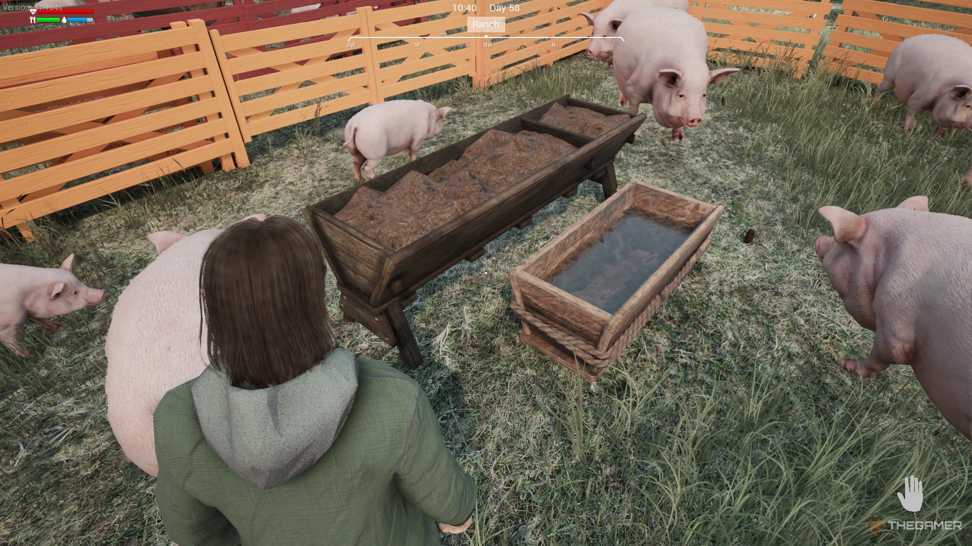 The pigs are inside the orange fenced area, circling the food trough and water container in Ranch Simulator