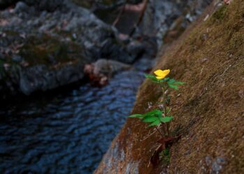 Microsoft Word closeup with magnifying glass hero