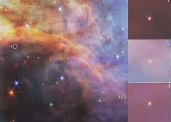 James Webb Reveals Stunning View Of The Flame Nebula