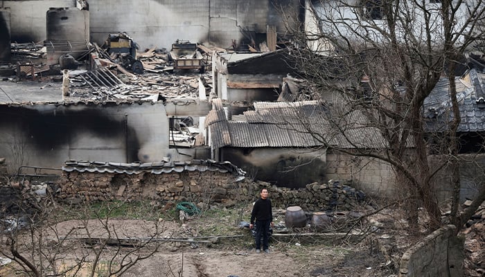 South Korea Faces Devastating Wildfires; 28 Lives Lost