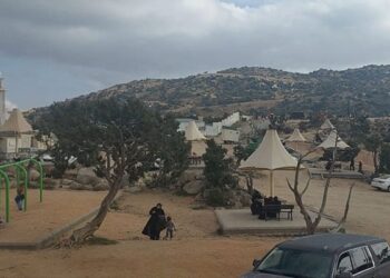 Taif: Saudi Arabia's Heritage Meets Modern Tourism