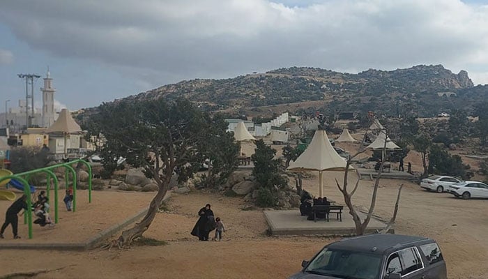 Taif: Saudi Arabia's Heritage Meets Modern Tourism